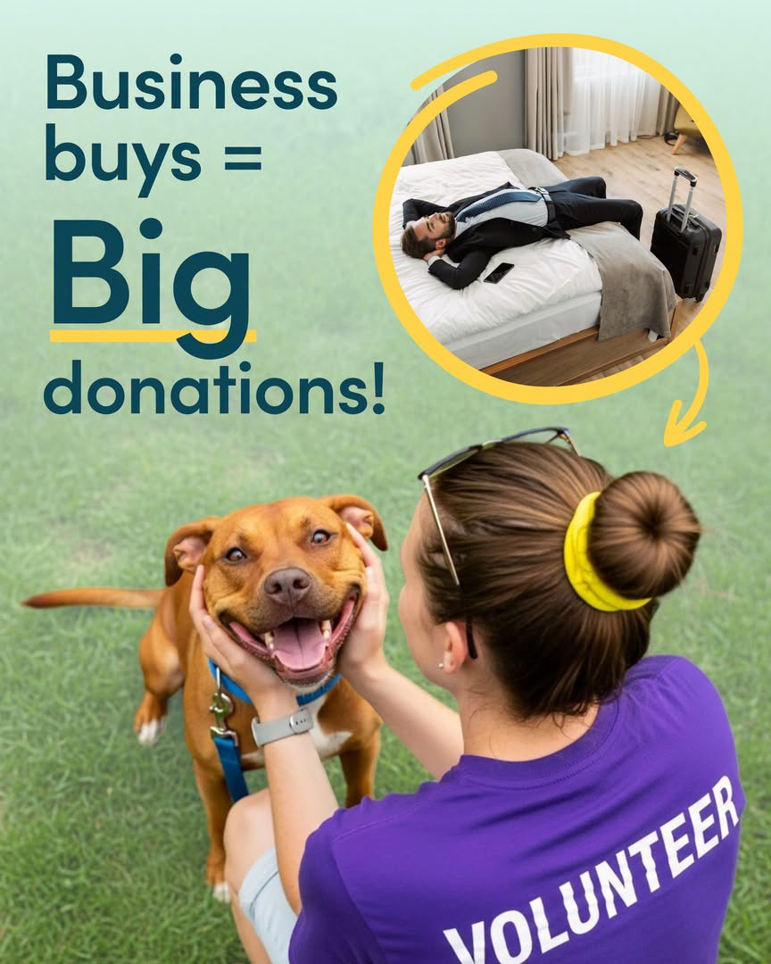 easyfundraising pets