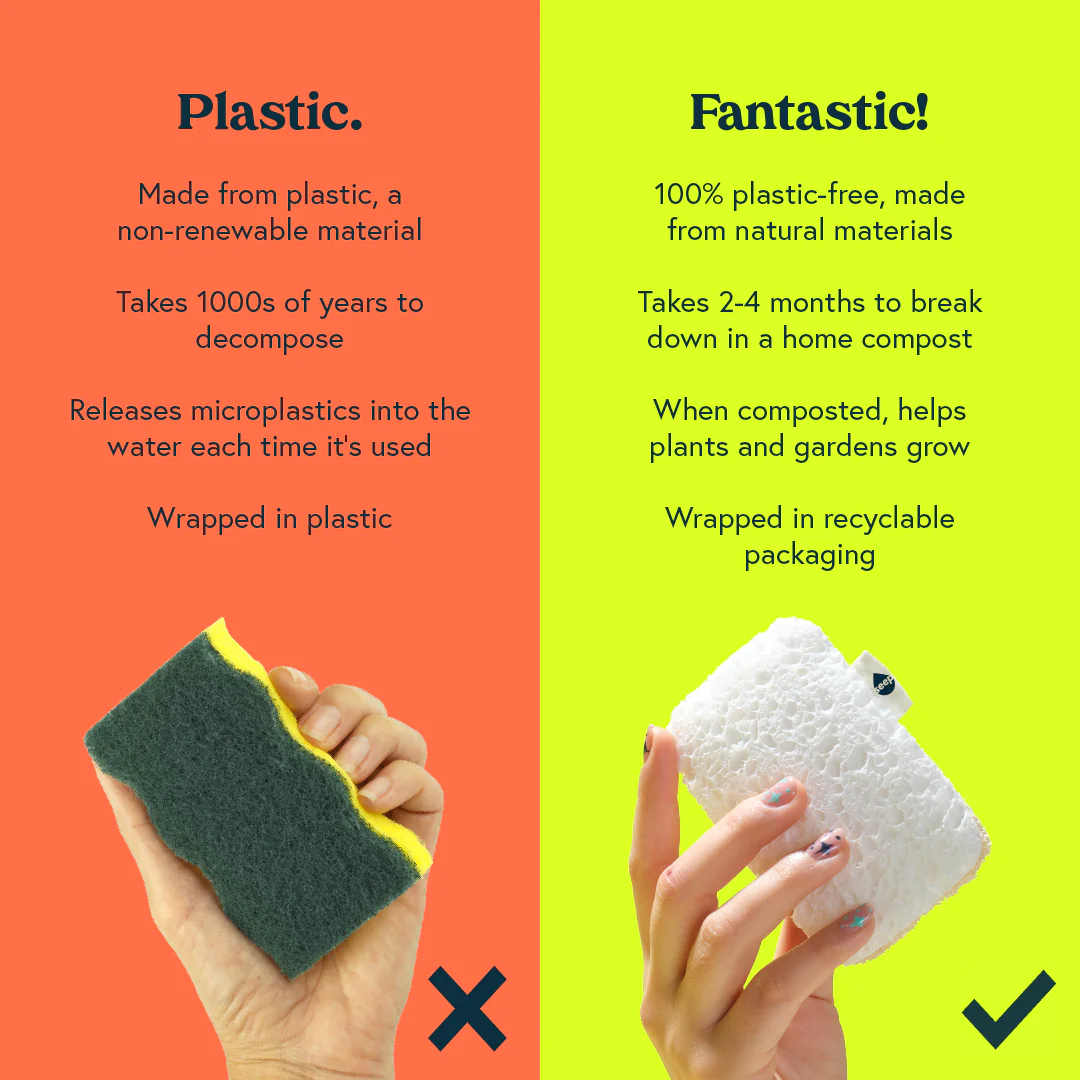 eco sponge scourer 
