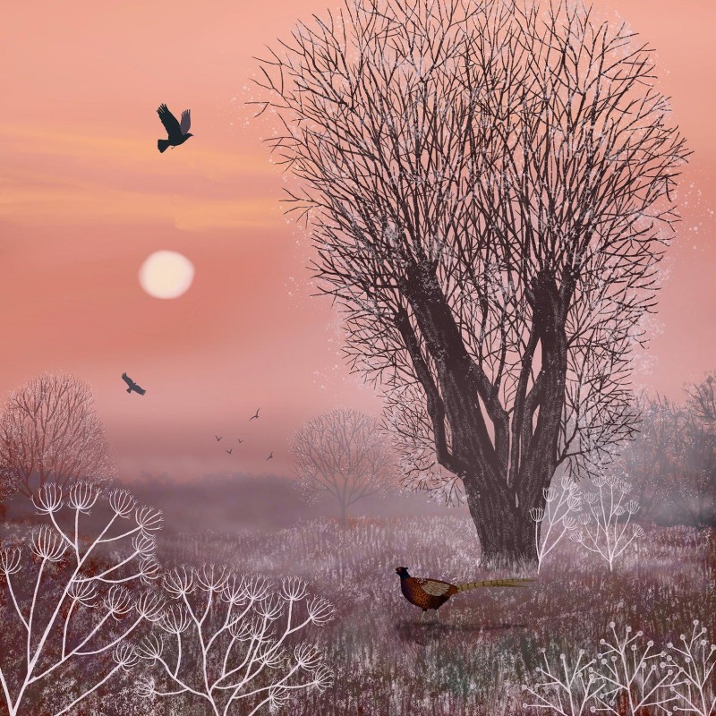 first frost