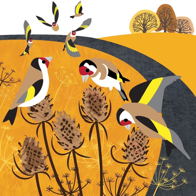 goldfinches