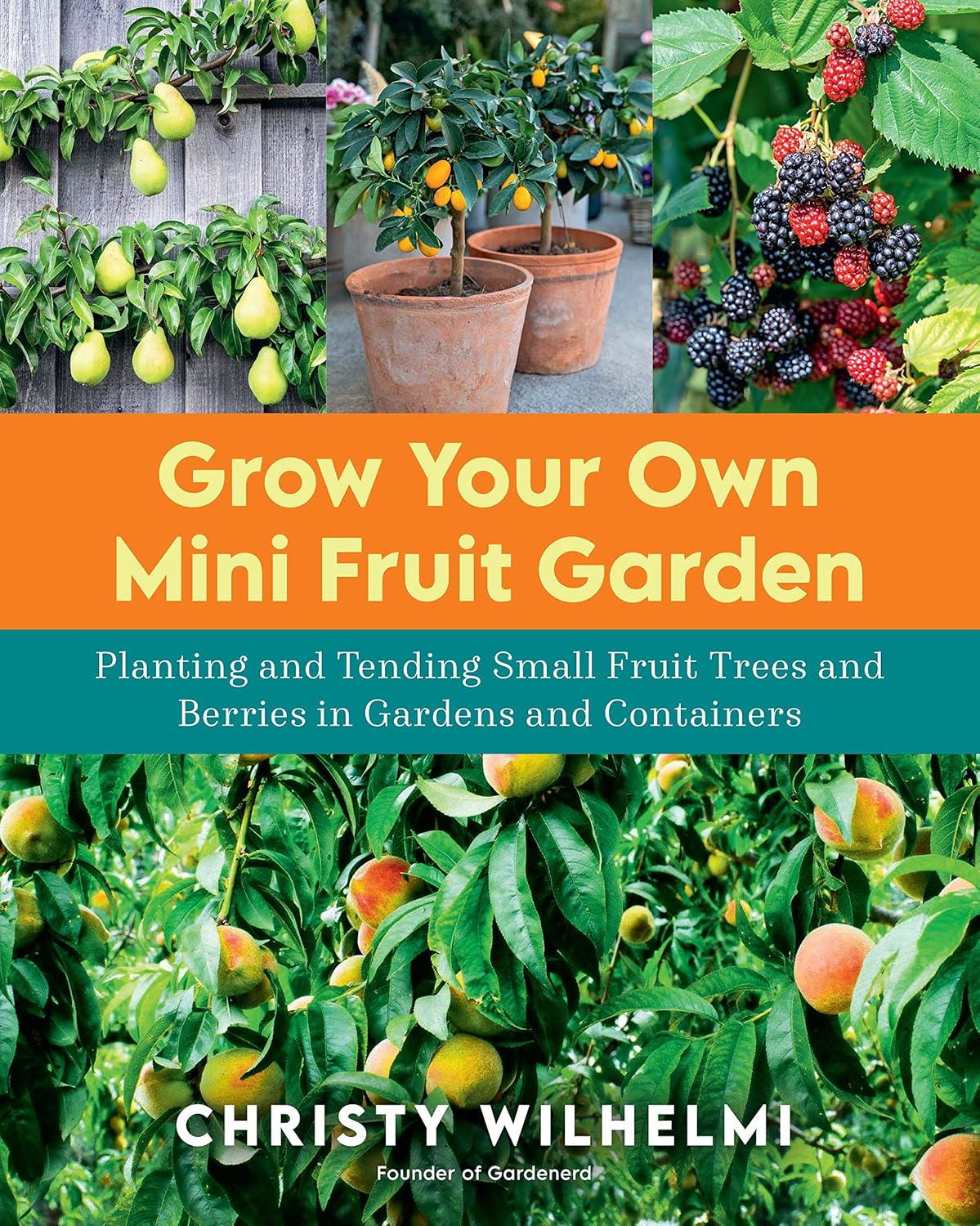 grow your own mini fruit garden