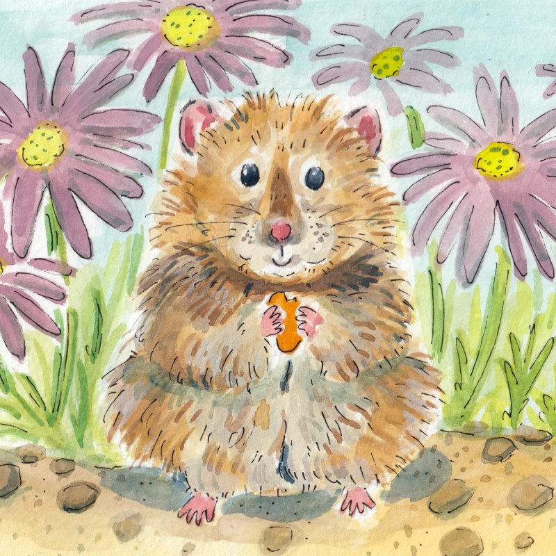 hamster Lucy Pickett