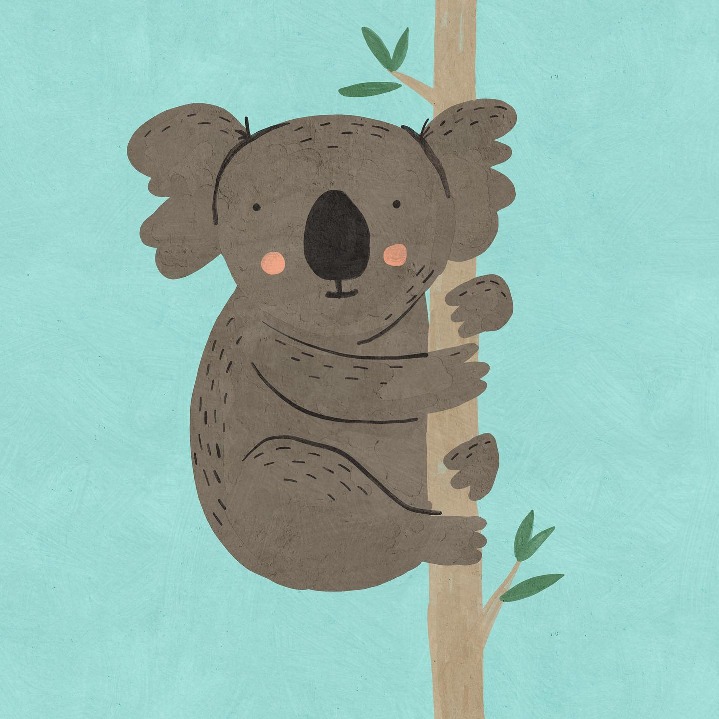 Koala Betsy Siber