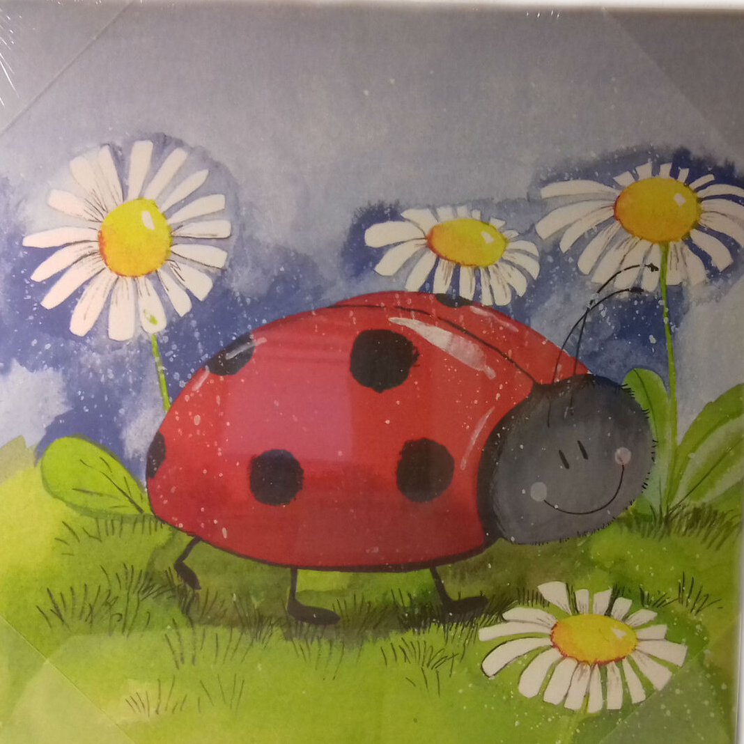 ladybird Alex Clark