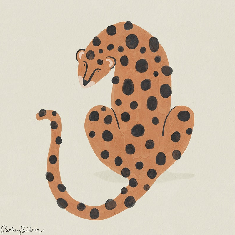 leopard Betsy Siber