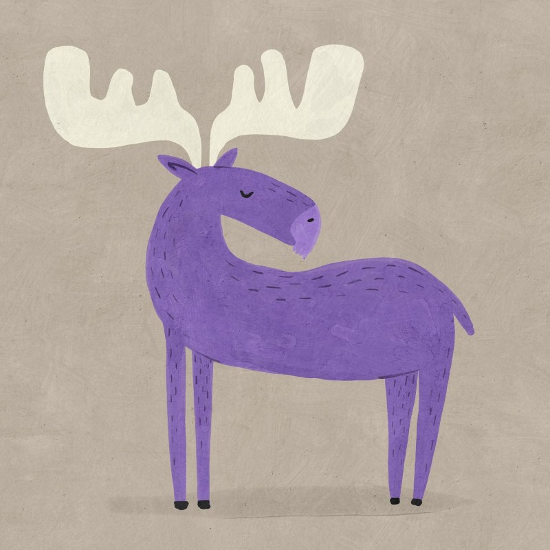 moose Betsy Siber
