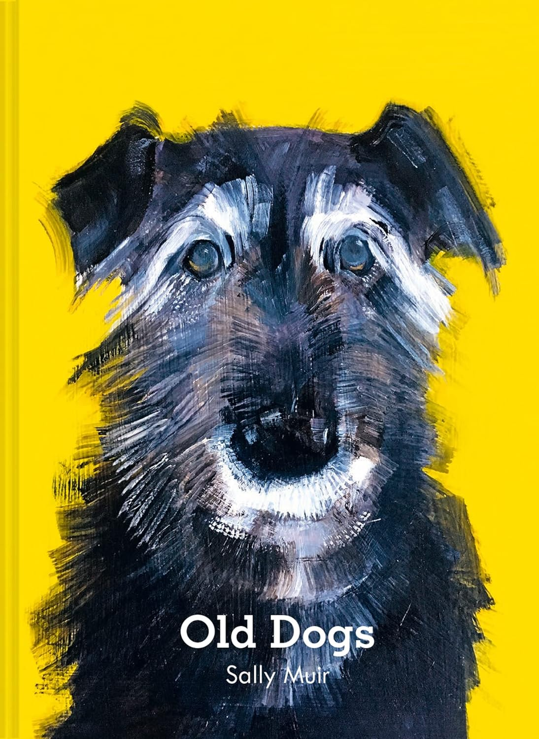 old dogs