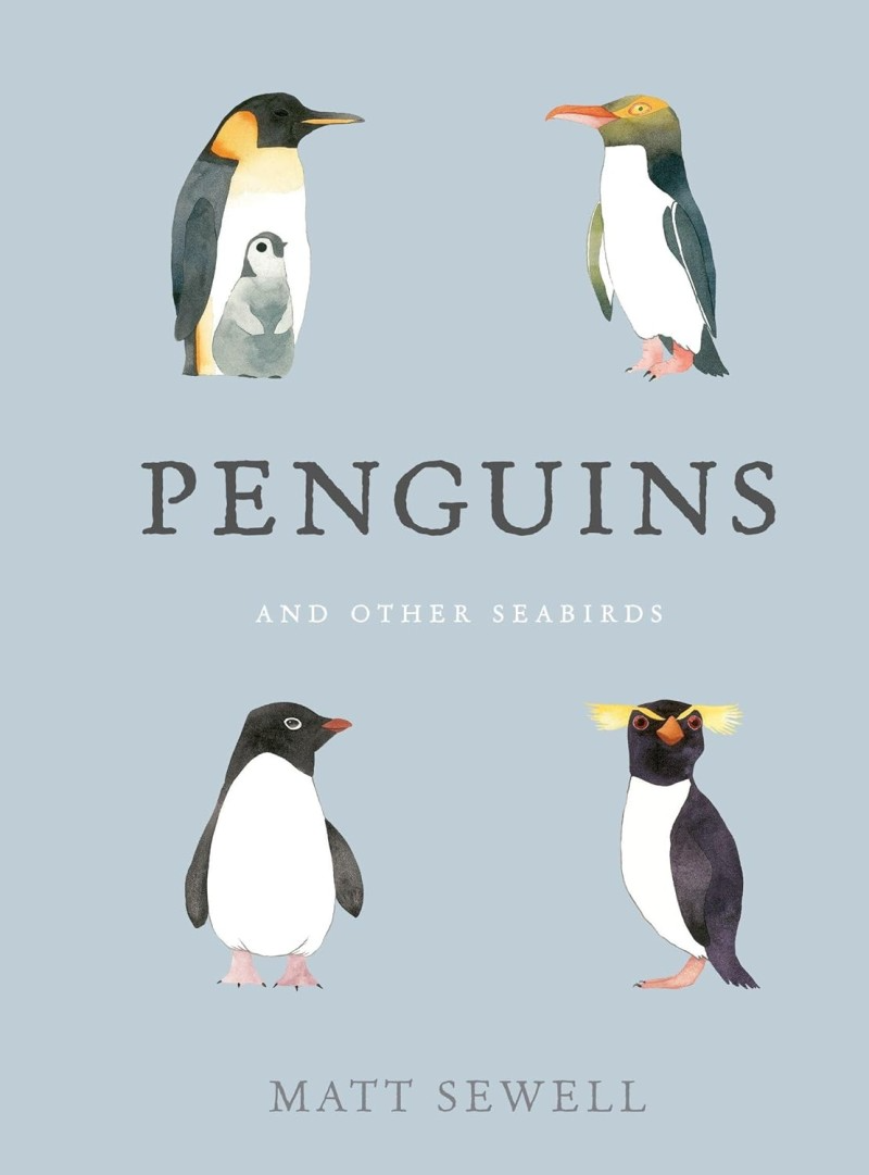 penguins and other seabirds