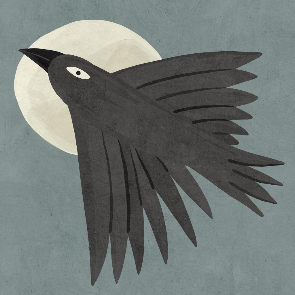 raven Betsy Siber