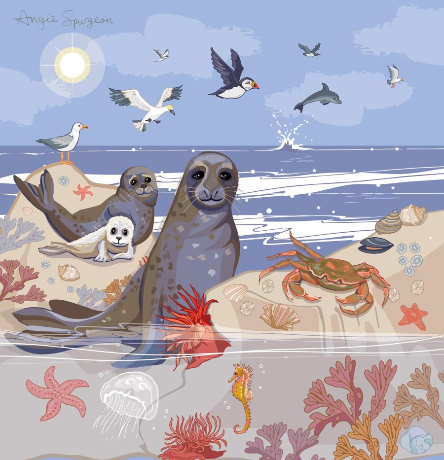 seal family