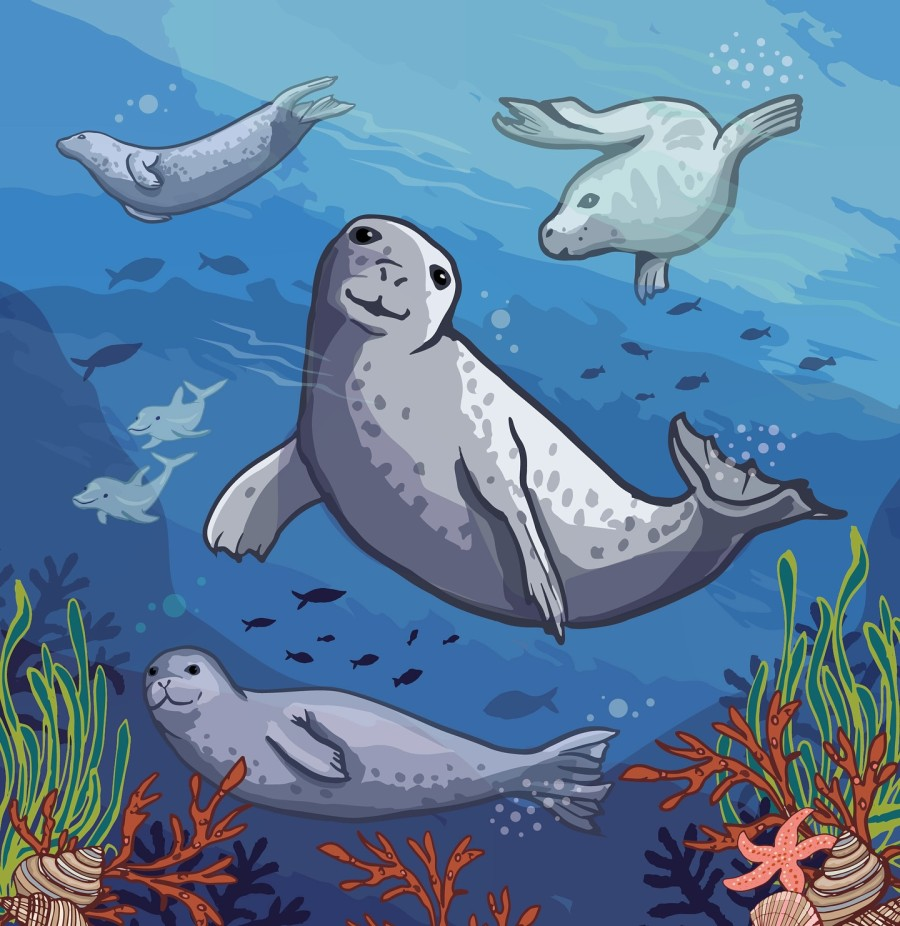 seals Artwork by Angie