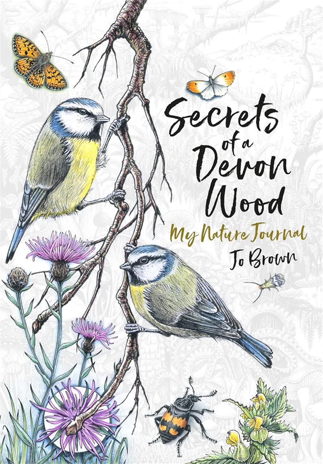 secrets of a Devon wood