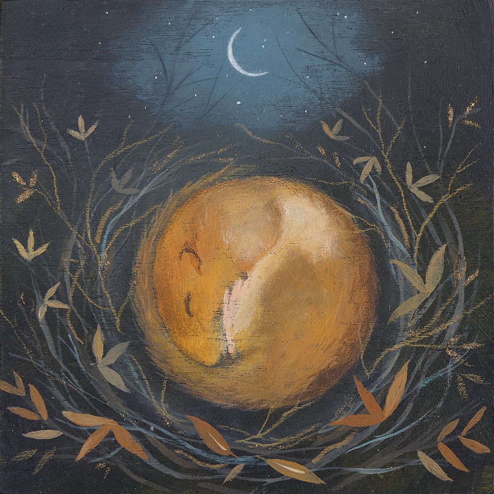 sleepy dormouse Julia Crossland