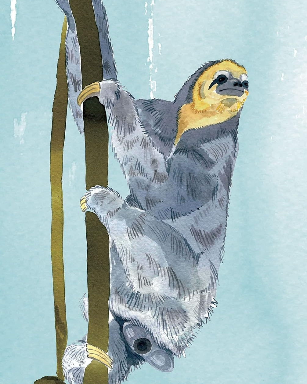 sloth atlas of endangered species