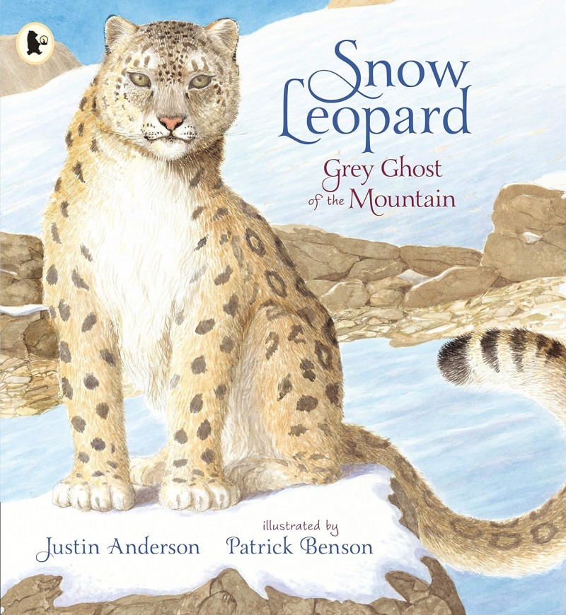 snow leopard
