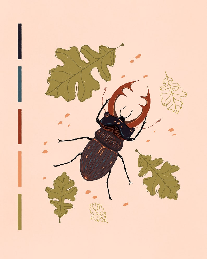 stag beetle