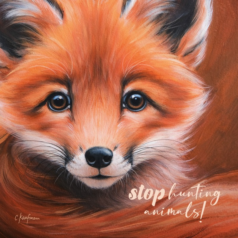 stop hunting animals