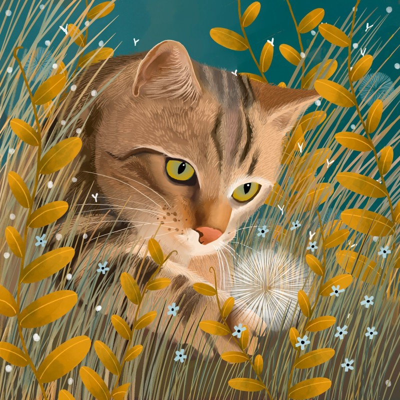 tabby cat Caroline Smith