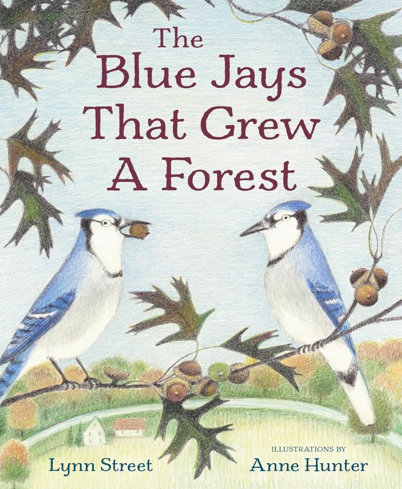 the blue jays