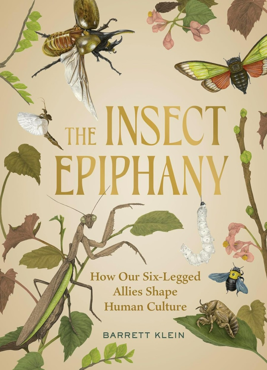 the insect epiphany
