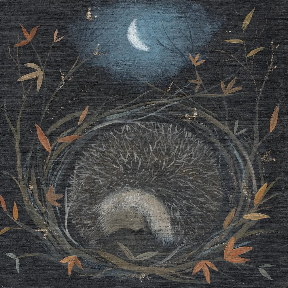 the long sleep Julia Crossland