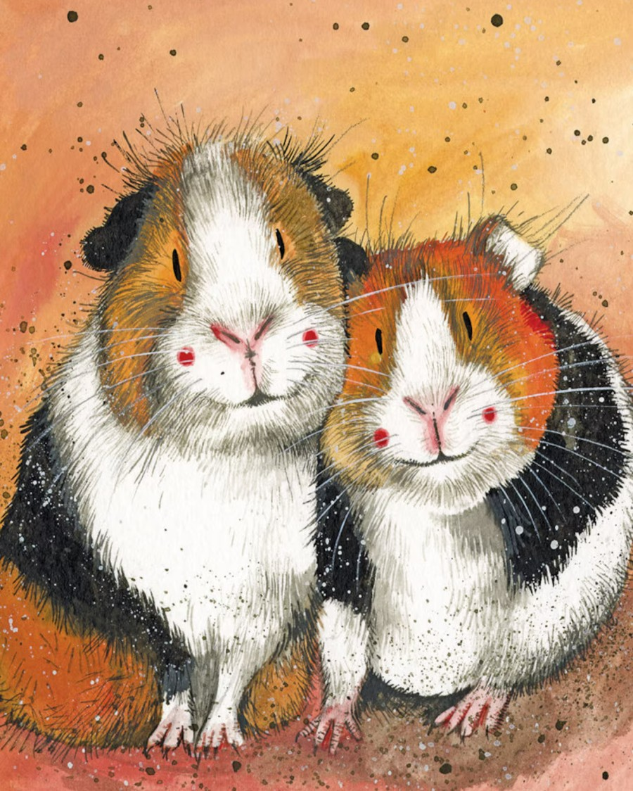 guinea pigs Alex Clark 