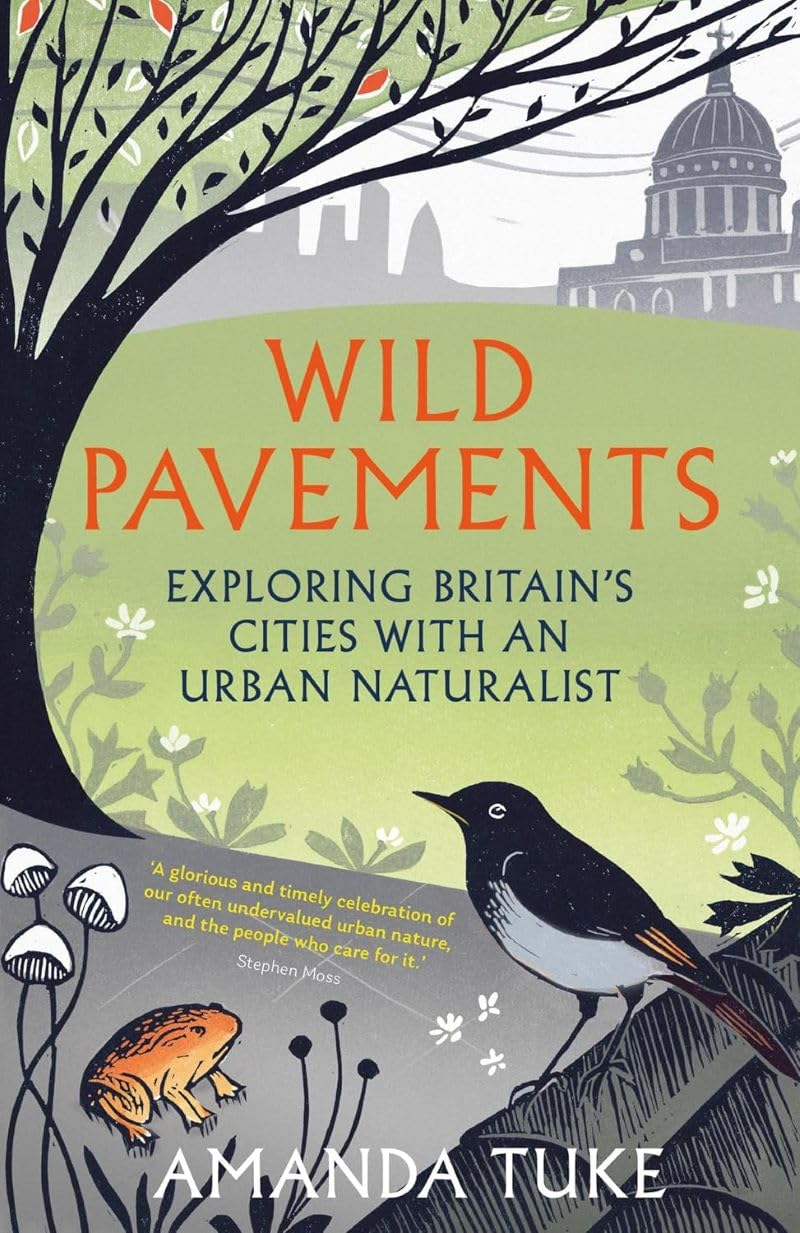 wild pavements