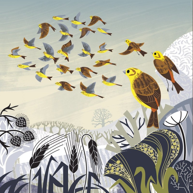 yellowhammers