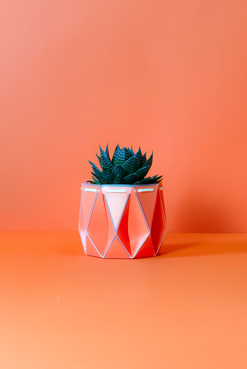 POTR pot