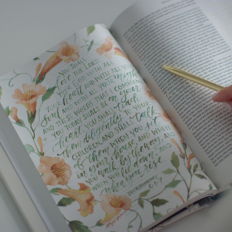 Gracelaced Bible