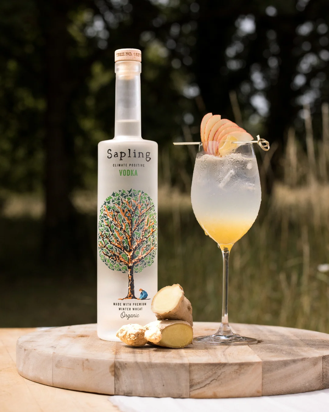 apple ginger spritz