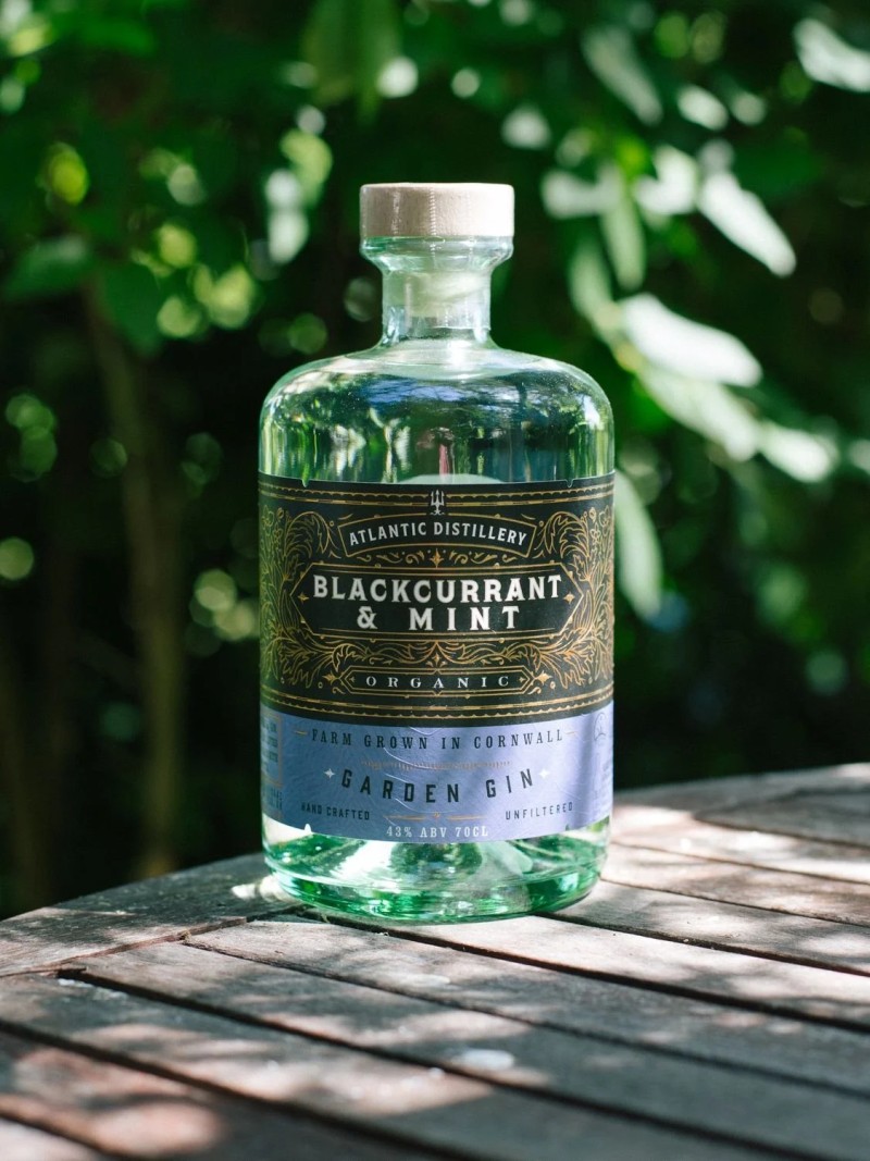 blackcurrant mint gin