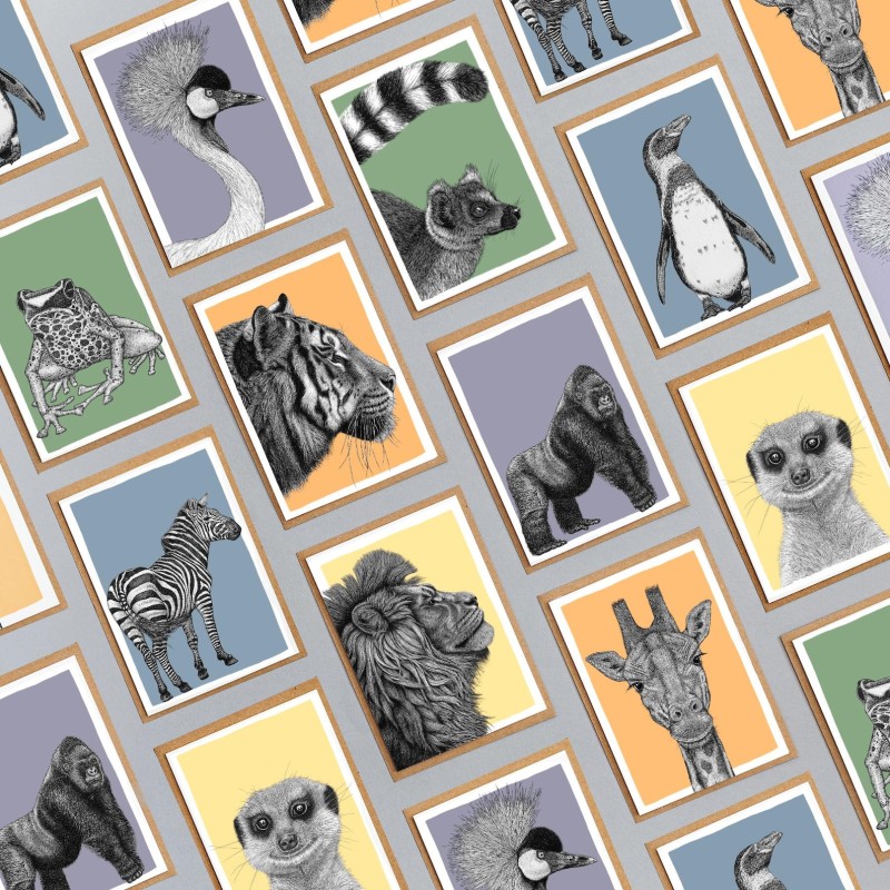 recycled wildlife notelets