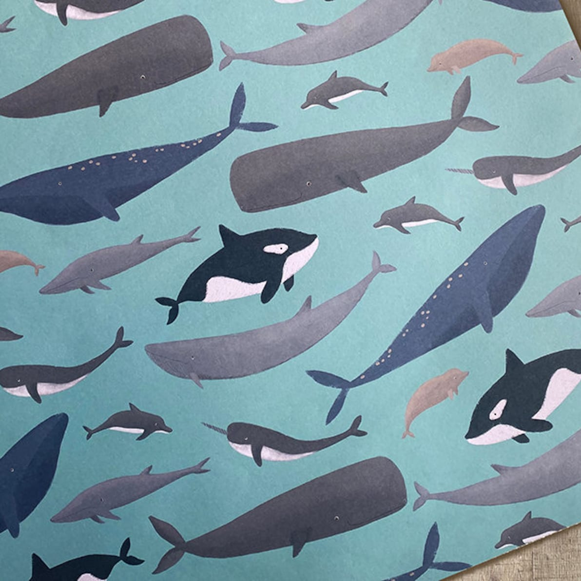 whales recycled gift wrap