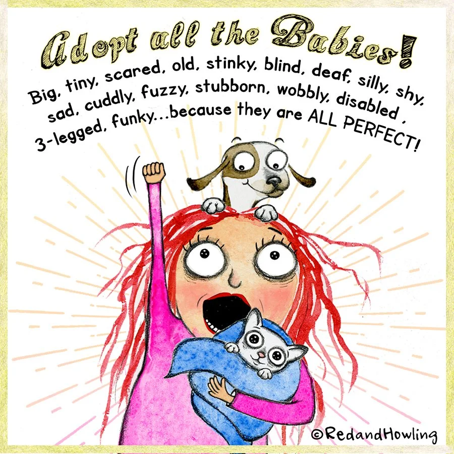 adopt all the babies