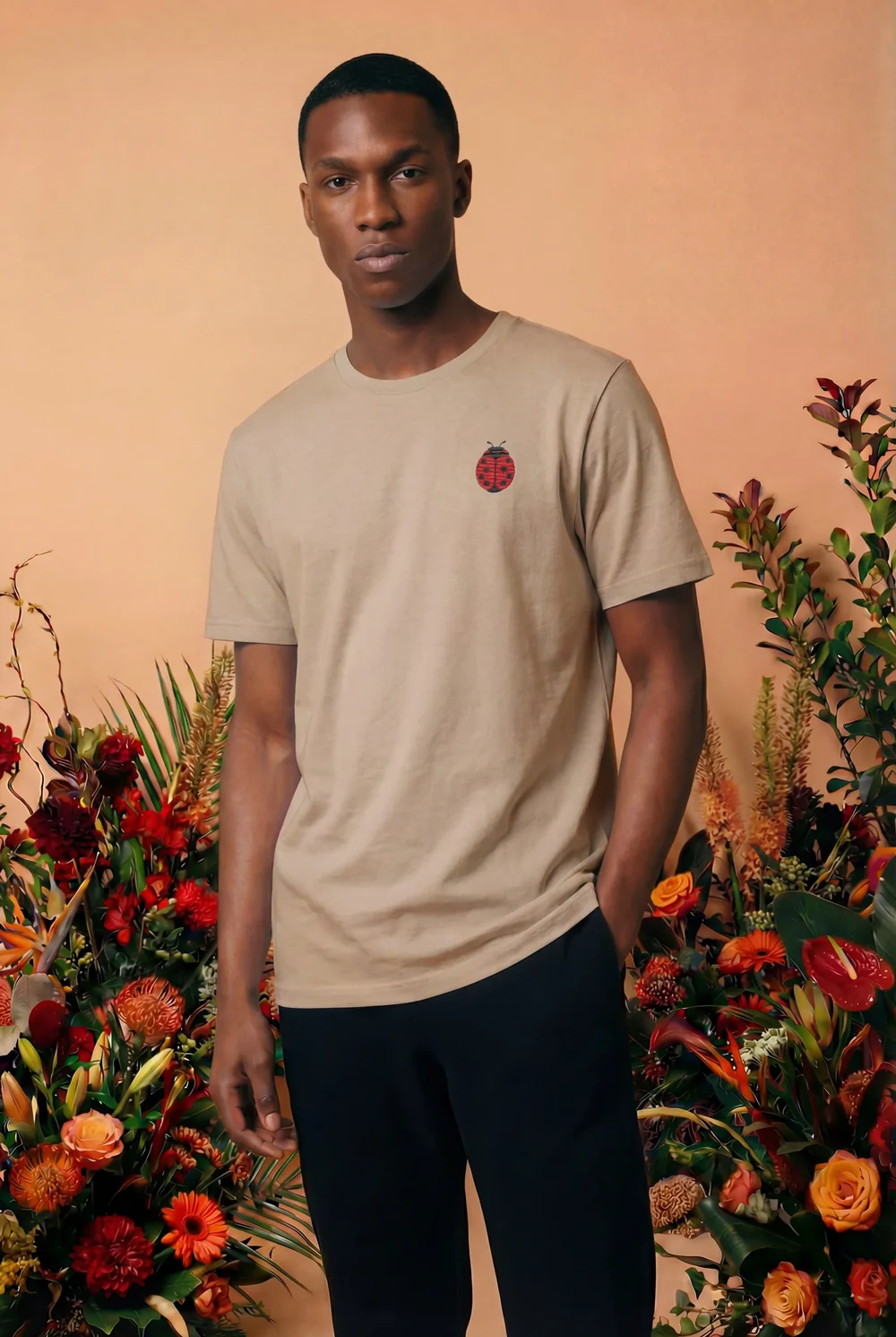 organic ladybug t-shirt