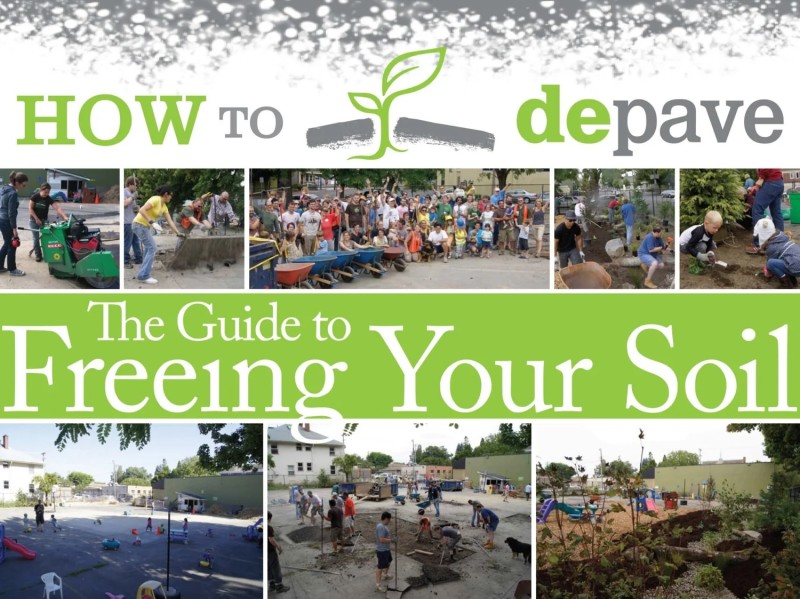 how to depave