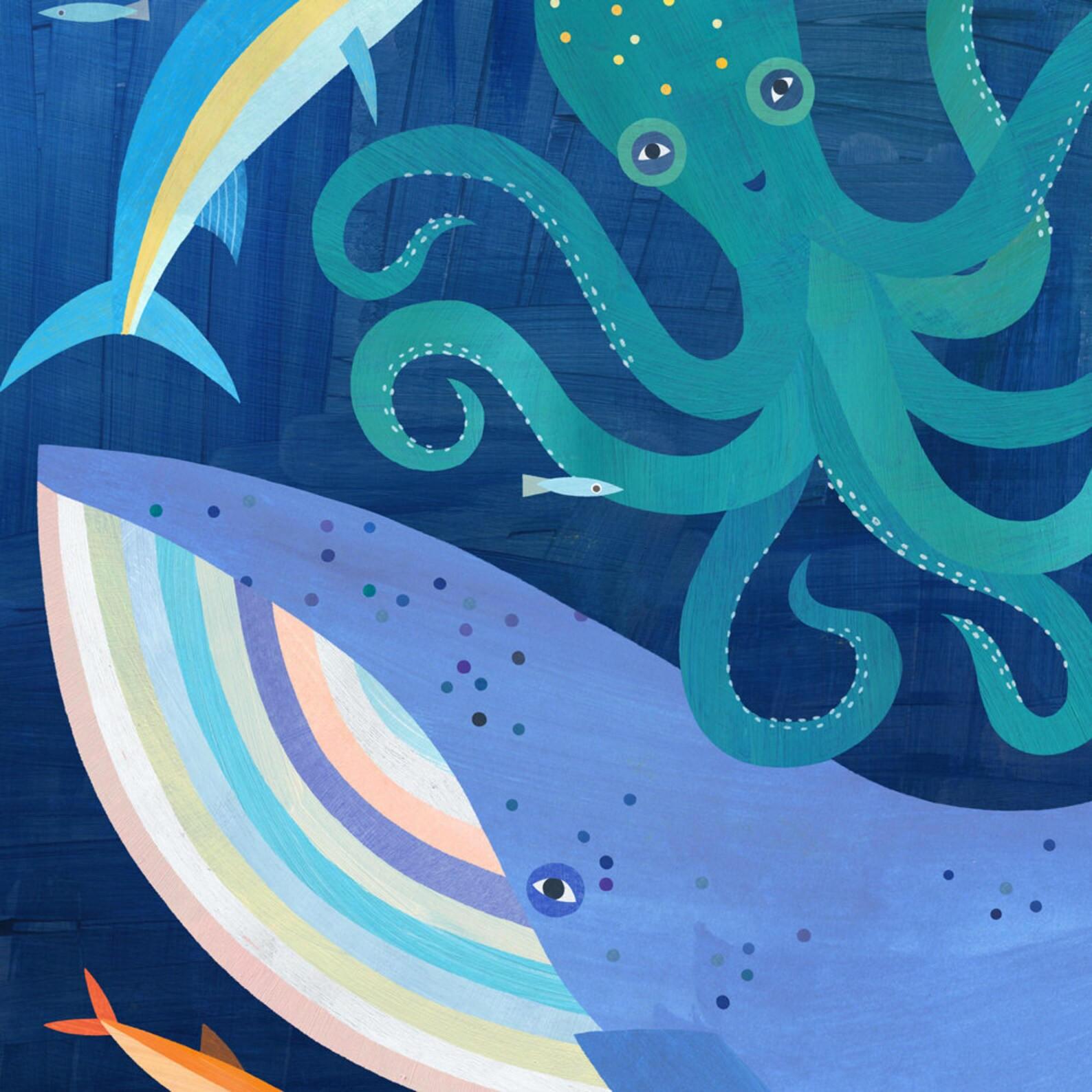marine creatures Melanie Mikecz